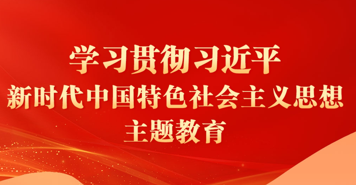 新时代中国特色社会主义思想主题教育